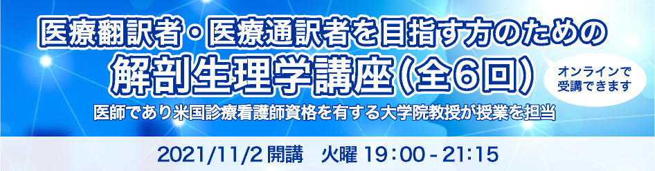 Ilc国際語学センター東京校 実務翻訳 ビジネス英語 看護英語 法務英語 企業研修